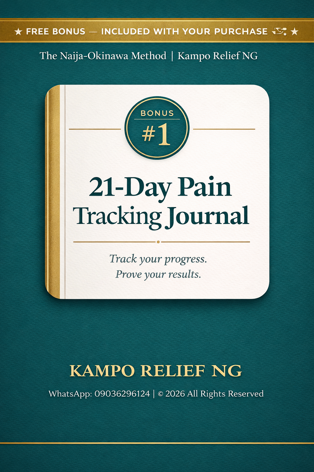 21-Day Pain Tracking Journal